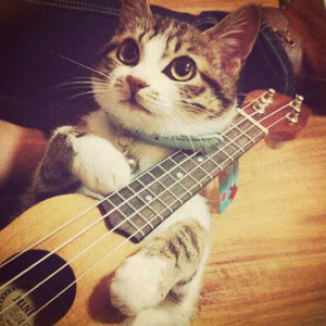 java高清在线谜片欣赏麻豆传媒
