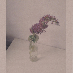 java高清在线谜片欣赏麻豆传媒
